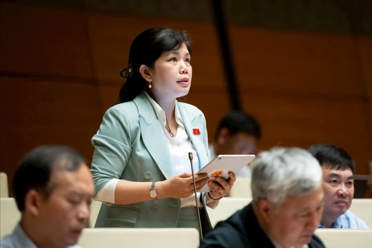 Cần quy trình chặt chẽ trong tiếp nhận nhân tài từ khu vực tư nhân