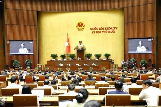 Lawmakers debate draft laws on public employees, e-commerce
