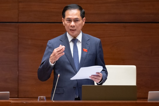 Bảo vệ dữ liệu, giúp người Việt Nam mua hàng Việt trên sàn Việt bằng công nghệ Việt