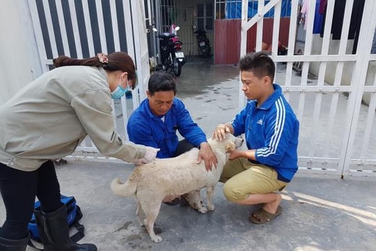 Phấn đấu đến năm 2030, Việt Nam sẽ không còn người tử vong vì bệnh Dại