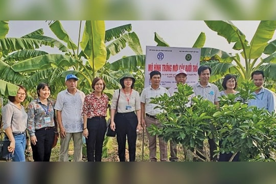 Xã Đại Xuyên quy hoạch vùng rau, bưởi đặc sản