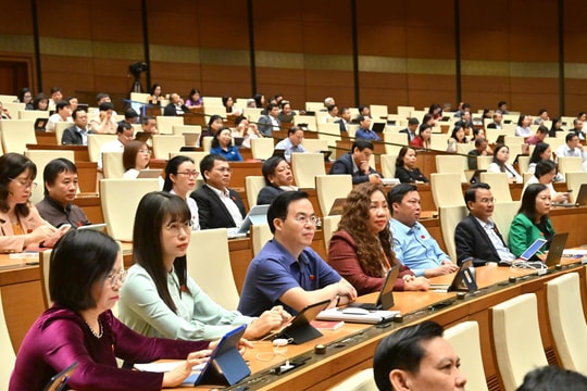 Làm rõ các yêu cầu kỹ thuật và tính khả thi của Dự án Cảng hàng không quốc tế Gia Bình