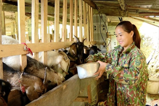 Thắp lên hành trình thoát nghèo bền vững