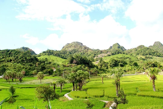 Hạt lúa mới mở đường thoát nghèo cho đồng bào Bản Tèn