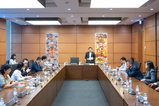 Bảo đảm tính khả thi trong triển khai cơ chế đặc thù về giáo dục, y tế