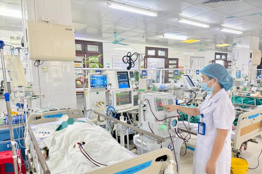 Sốc phản vệ, suy đa tạng sau khi bị ong vò vẽ đốt hơn 100 vết