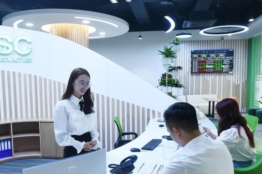 DSC chậm công bố thông tin, bất ngờ có cổ đông lớn mới chiếm 11,76% vốn, lãnh đạo cũ chuyển nhượng quyền mua cổ phiếu