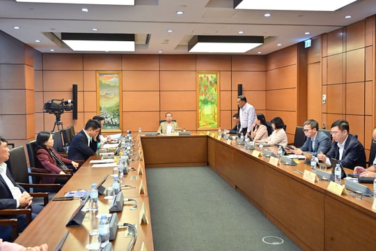 Sáng 17/11/2025, Họp tổ 5 (Thái Nguyên, Gia Lai)