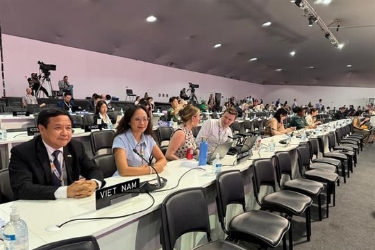 Vietnam participates in parliamentary meeting at COP30