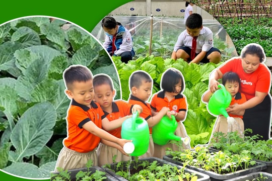 Vườn trường – Lớp học không mái che của tương lai