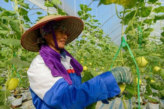 Ngành nông nghiệp và môi trường bứt phá thành trụ cột tăng trưởng xanh