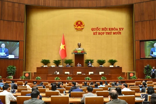 Chiều 18/11/2025, Quốc hội thảo luận về dự án Luật sửa đổi, bổ sung một số điều của Luật Phòng, chống tham nhũng