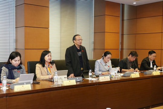 Sáng 19/11/2025: Thảo luận Tổ 8 (Bắc Ninh, Cà Mau)