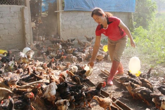 Để đồng bào dân tộc thiểu số vươn lên nhờ nghề mới