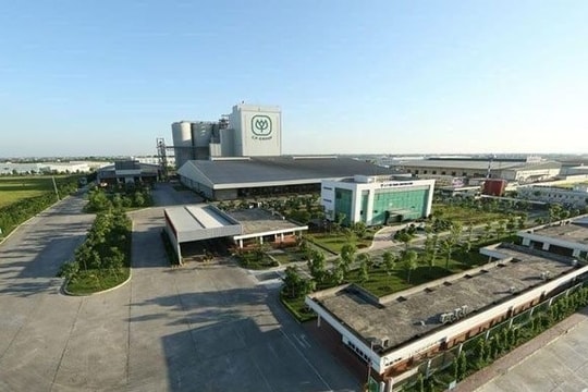 Hải Phòng: Giao gần 30.000m2 đất cho Công ty Cổ phần đầu tư phát triển Bất động sản Nam Đô để thực hiện dự án