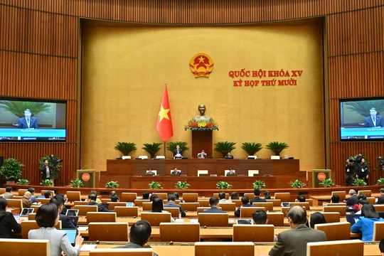 Chiều 19/11/2025, Quốc hội thảo luận về Dự án Luật Quản lý thuế (sửa đổi) và Dự án Luật Thuế thu nhập cá nhân (sửa đổi)