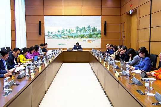 Cần cơ chế lựa chọn minh bạch, chuyên nghiệp với đặc phái viên