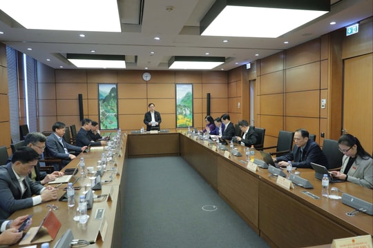 Cần mốc thời gian và cơ chế giám sát hiệu quả