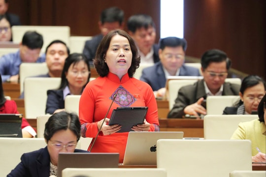 Tránh tạo “khoảng trống” pháp lý về đào tạo giáo viên, bác sĩ