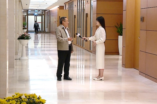Cần cân nhắc từ kinh nghiệm của nhiều nước khi áp dụng quy định về ghế an toàn cho trẻ em trên ô tô