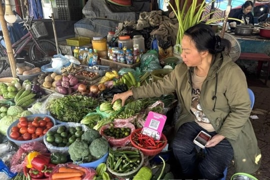 Extreme weather drives vegetable prices higher in Hanoi as supplies tighten
