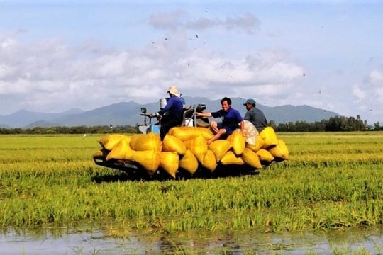 TP. Cần Thơ: Phát triển nông nghiệp ứng dụng công nghệ cao thích ứng với biến đổi khí hậu