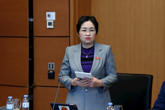 Sáng 21/11/2025: Họp tổ 11 (TP Cần Thơ và Điện Biên)