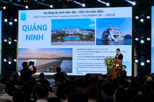 Tái định vị hoạt động lữ hành trong bối cảnh mới