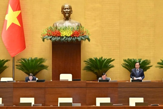 Rà soát, bảo đảm tính thống nhất, tính đặc thù riêng của chính sách ưu đãi
