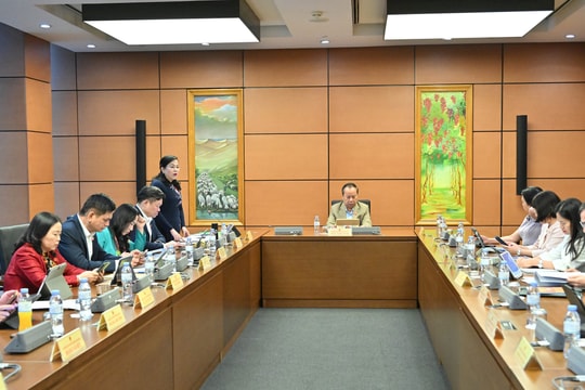Sáng 21/11/2025, Họp tổ 5 (Thái Nguyên, Gia Lai)