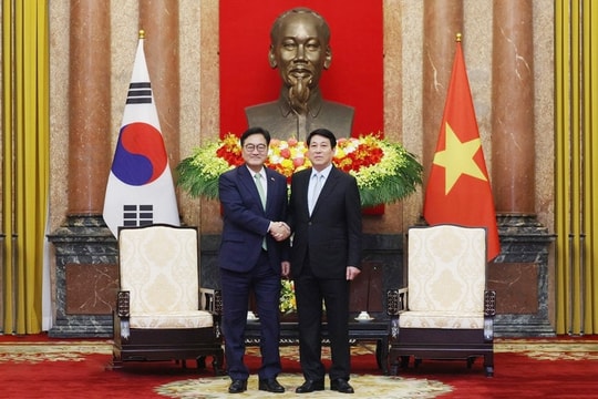 Chủ tịch nước Lương Cường tiếp Chủ tịch Quốc hội Hàn Quốc Woo Won Shik