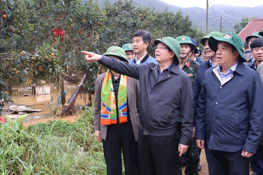 Phó Thủ tướng Chính phủ Hồ Quốc Dũng kiểm tra thiệt hại mưa lũ tại tỉnh Lâm Đồng