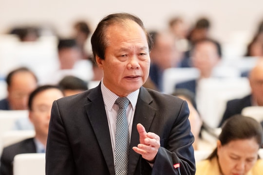 Pháp luật phải trở thành công cụ phát triển, không giới hạn ở quản lý cho đúng