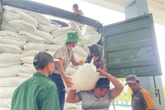 International media praises Vietnamese Government’s urgent response to severe floods
