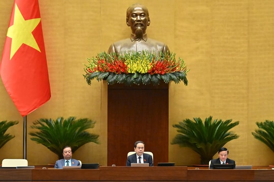 25/11/2025, Quốc hội thảo luận về dự án Luật sửa đổi, bổ sung một số điều của Luật Sở hữu trí tuệ.