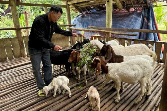Yên Trạch thoát nghèo bằng sinh kế bền vững