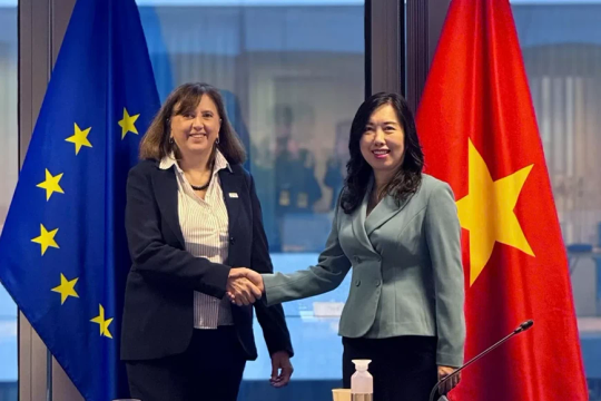 Vietnam, EU hold sixth Joint Committee’s session to advance partnership