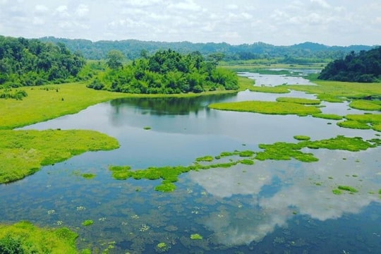 Nền tảng quan trọng để Đồng Nai phát triển xanh