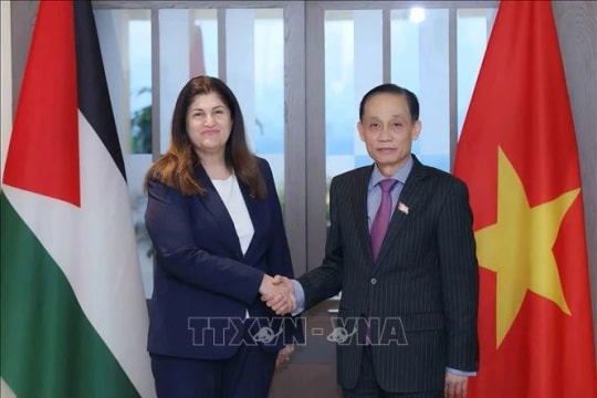 Vietnamese Minister of Foreign Affairs holds talks with Palestinian counterpart