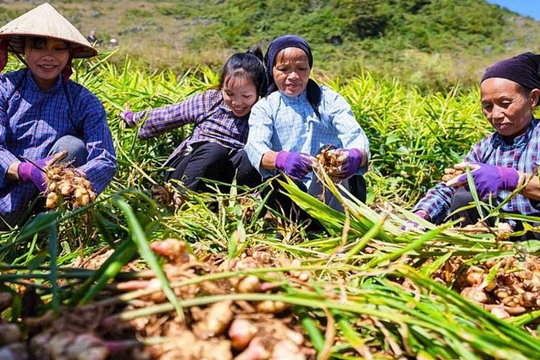 Sức bật mới cho vùng đặc biệt khó khăn Cao Bằng