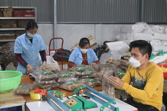 Cao Bằng hiện thực hóa mục tiêu giảm nghèo đa chiều, bền vững