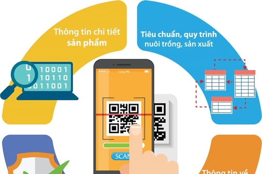 TP. Hồ Chí Minh: Sẽ truy xuất nguồn gốc sản phẩm, hàng hóa có mức độ rủi cao