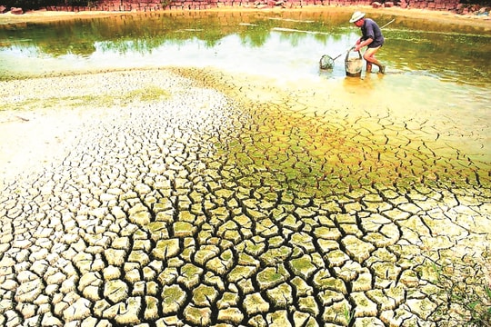 Ứng dụng khoa học, công nghệ phát triển bền vững đồng bằng sông Cửu Long