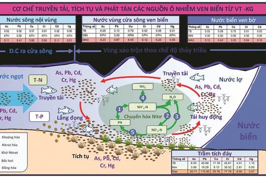 Nghiên cứu cơ chế tích tụ và phân tán ô nhiễm dọc bờ biển Nam Bộ