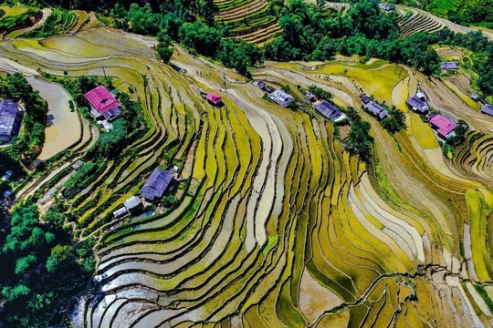 Tích hợp để tạo sức mạnh cộng hưởng và phát triển