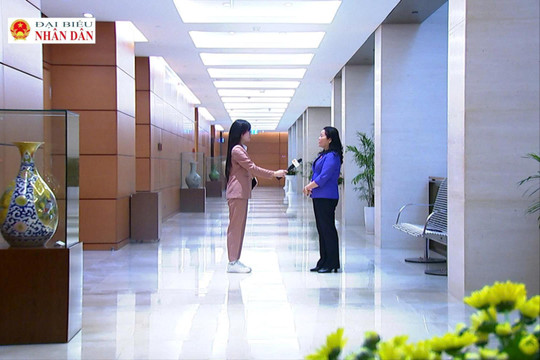 Nghiên cứu, xem xét kỹ lưỡng đối với mô hình đại học vùng