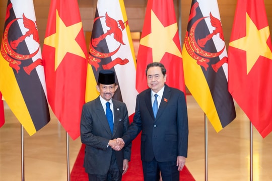 Chủ tịch Quốc hội Trần Thanh Mẫn hội kiến Quốc vương Brunei
