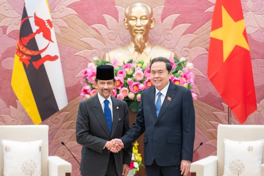 Chủ tịch Quốc hội Trần Thanh Mẫn hội kiến Quốc vương Brunei