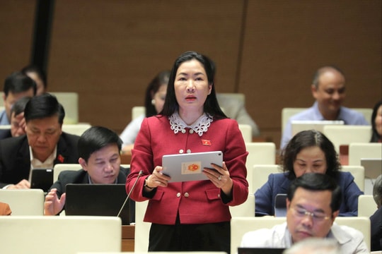 Chống độc quyền dữ liệu và chống khóa chặt dữ liệu