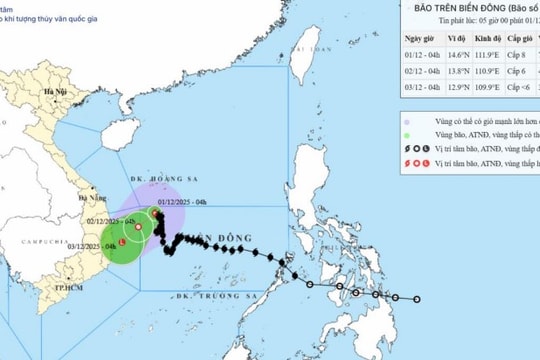 Bão số 15 KOTO ít dịch chuyển, cách Gia Lai - Đắk Lắk khoảng 170km